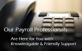 Professional Payroll